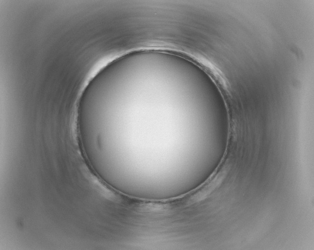 X0000115691374200911251804