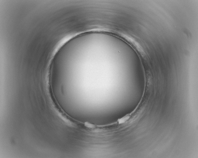 X0000115691375200911251804