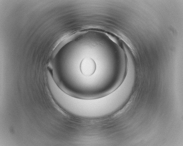 X0000115691377200911251804