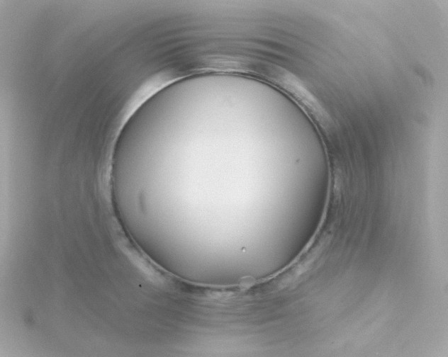 X0000115691378200911251804