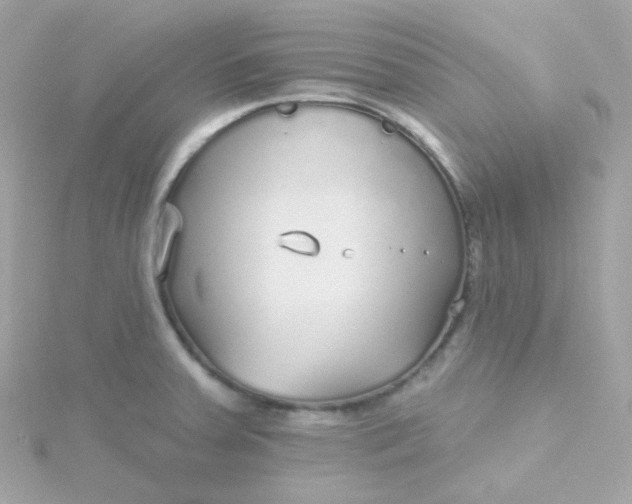 X0000115691379200911251804