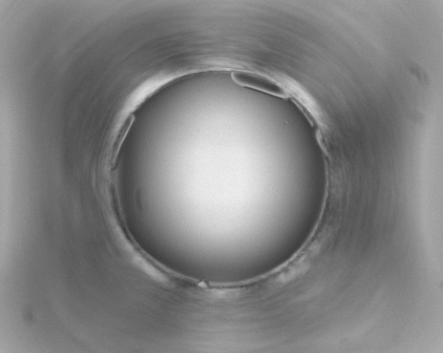 X0000115691381200911251804