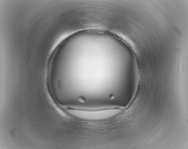 X0000115691383200911251804