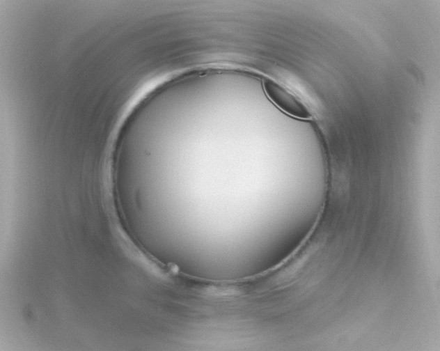 X0000115691384200911251804