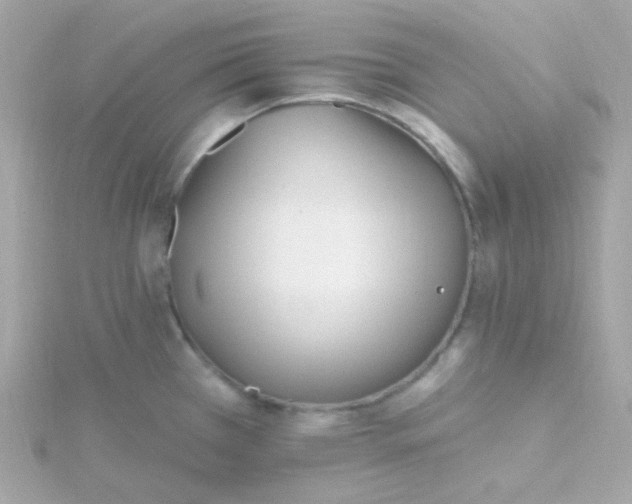 X0000115691385200911251804