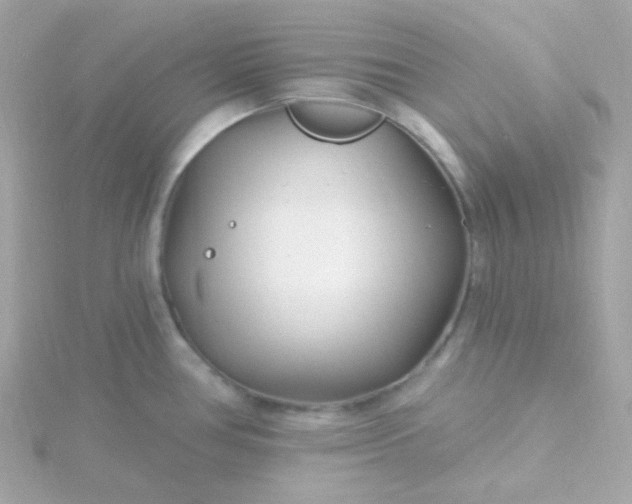 X0000115691386200911251804