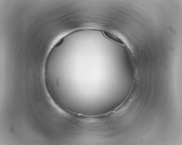 X0000115691387200911251804