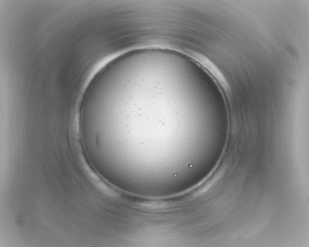 X0000115691388200911251804