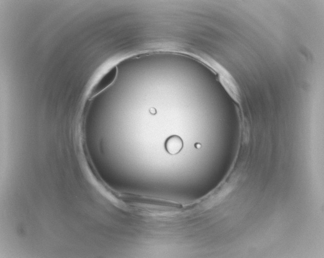 X0000115691389200911251804