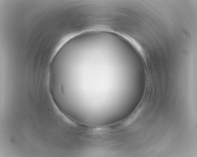 X0000115691390200911251804