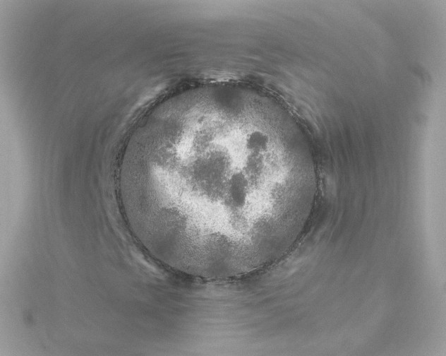 X0000115691393200911251803