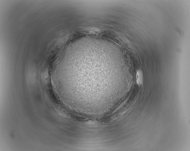 X0000115691395200911251803