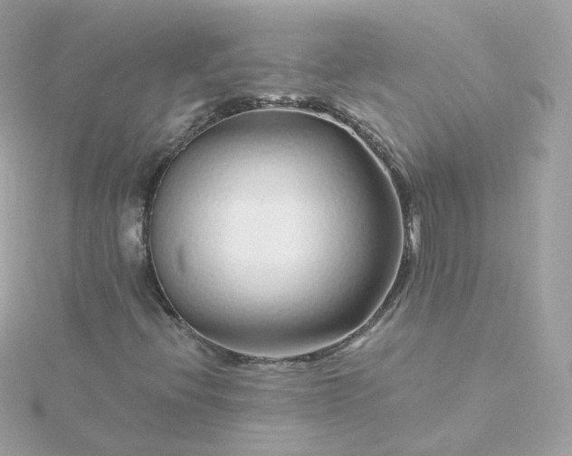 X0000115691396200911251803