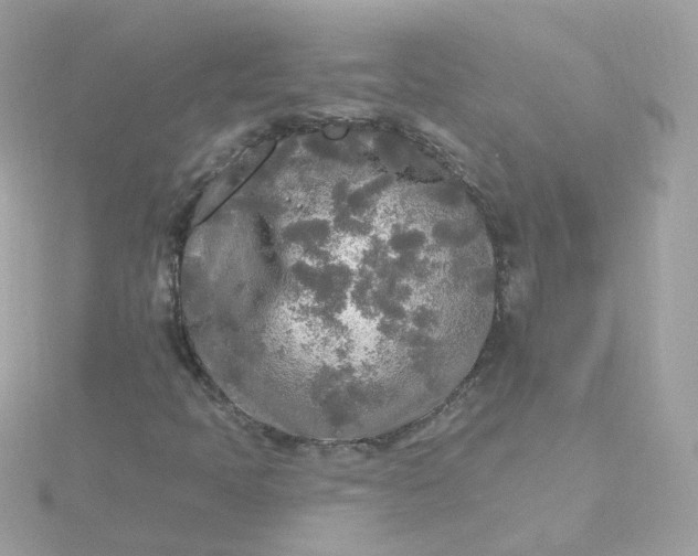 X0000115691397200911251803