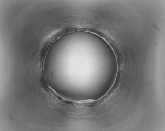 X0000115691398200911251803