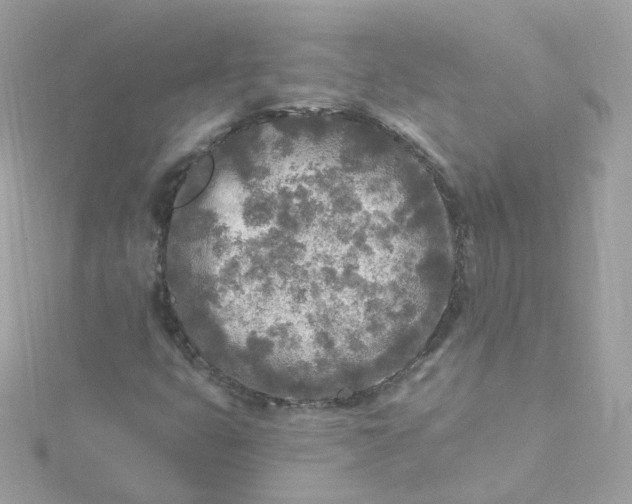 X0000115691399200911251803