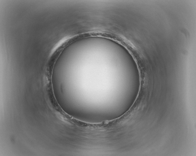 X0000115691400200911251803