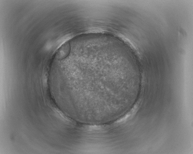 X0000115691401200911251803