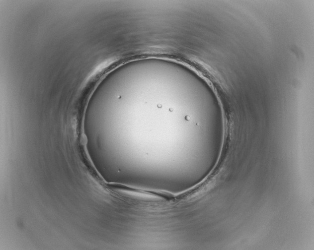 X0000115691402200911251803