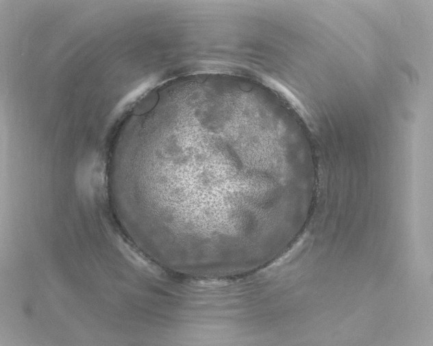 X0000115691403200911251803