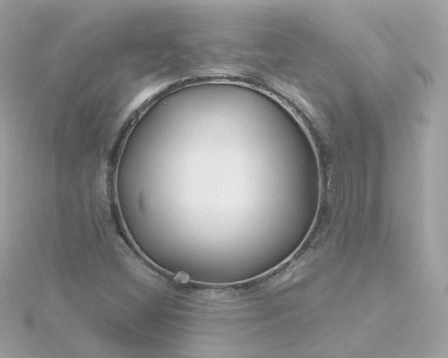 X0000115691404200911251803