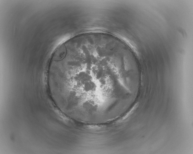 X0000115691405200911251803