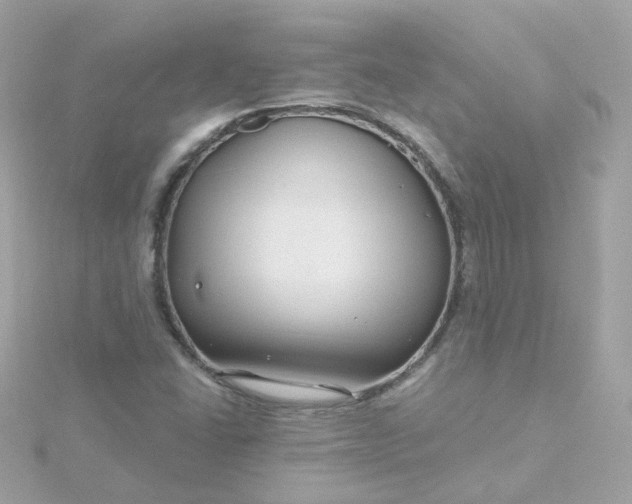 X0000115691406200911251803