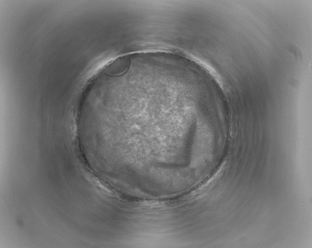 X0000115691407200911251803