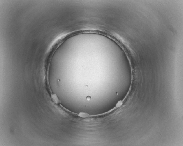 X0000115691408200911251803