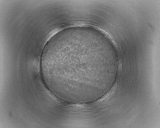 X0000115691409200911251803