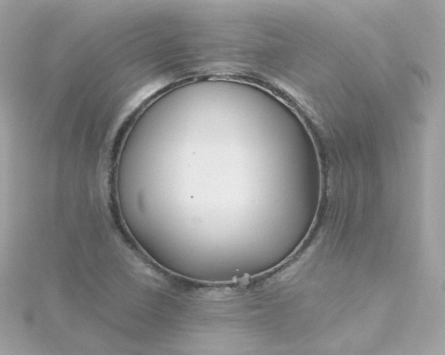 X0000115691410200911251803