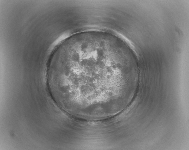 X0000115691411200911251803