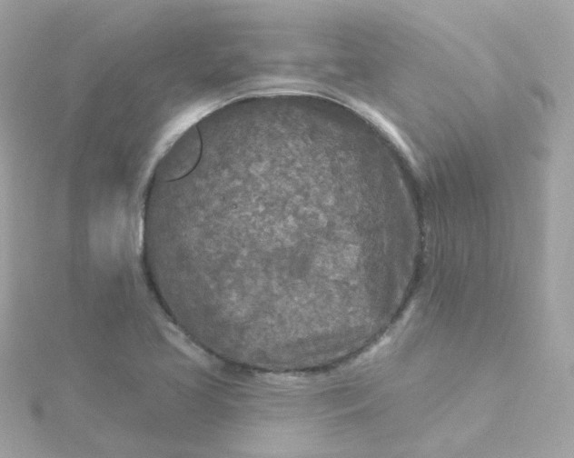 X0000115691413200911251803