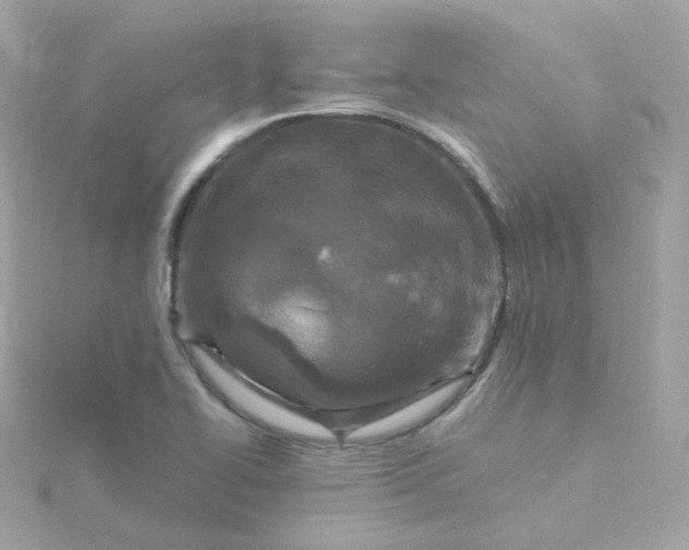 X0000115691414200911251803