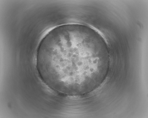 X0000115691415200911251803