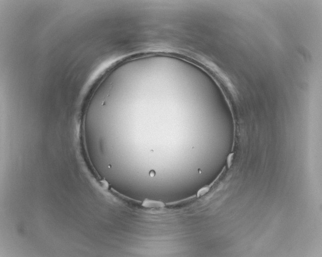 X0000115691416200911251804