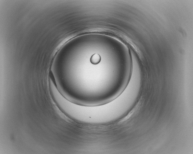 X0000115691417200911251804