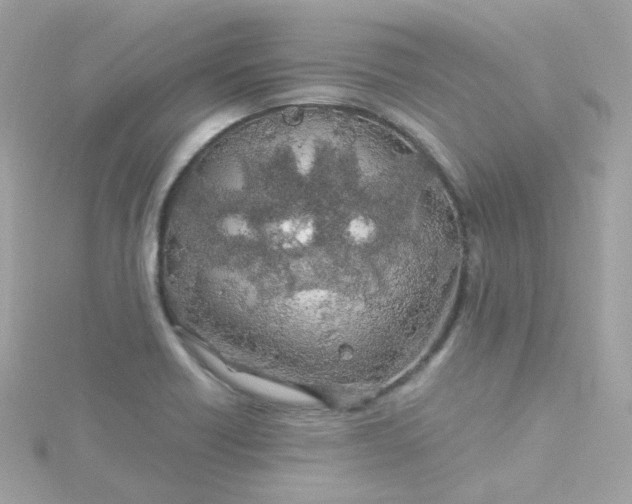 X0000115691418200911251804