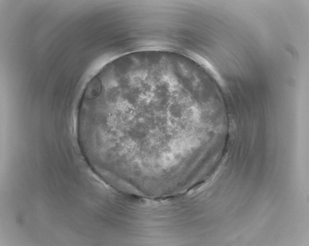 X0000115691419200911251804