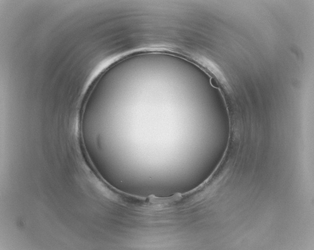 X0000115691420200911251804