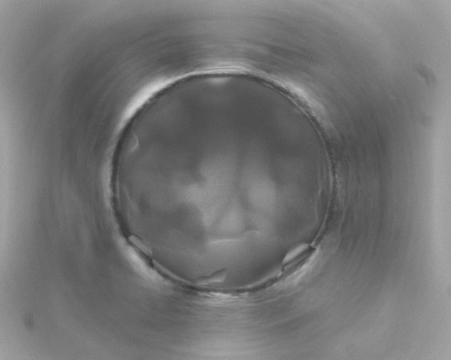 X0000115691422200911251804