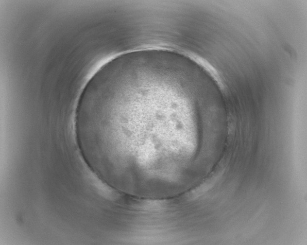 X0000115691423200911251804