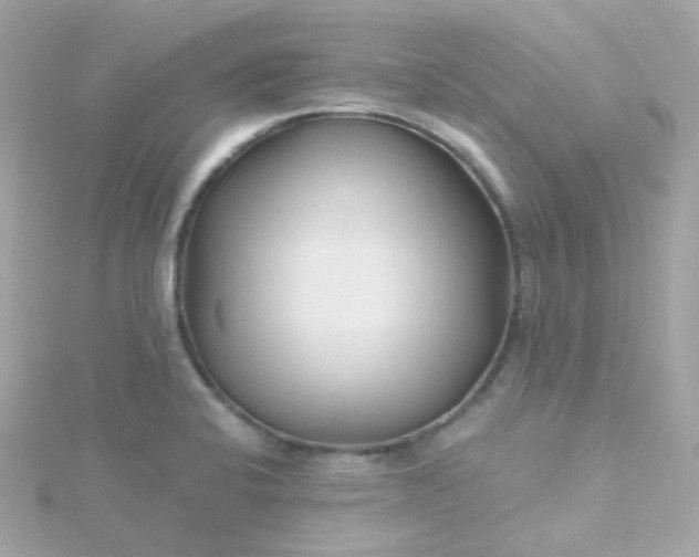 X0000115691424200911251804