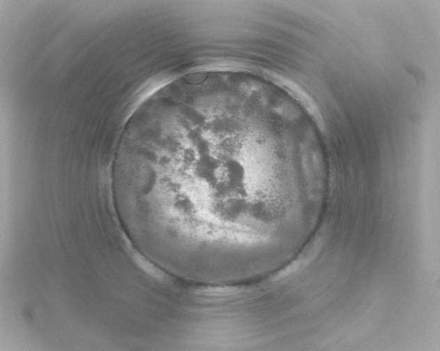 X0000115691425200911251804