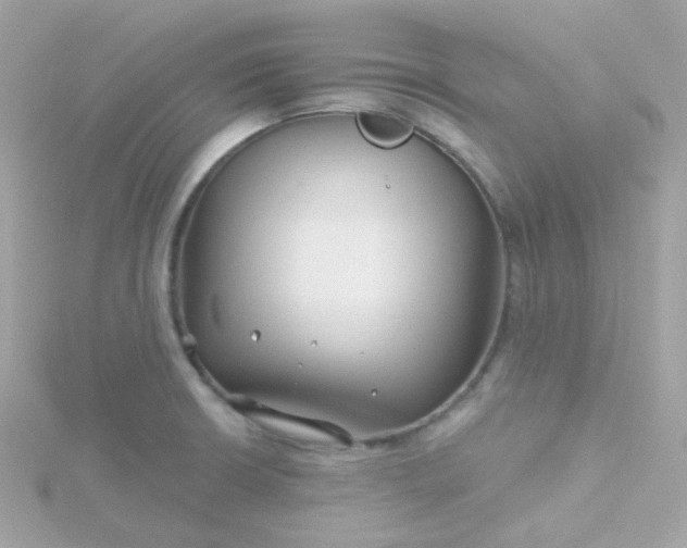 X0000115691426200911251804