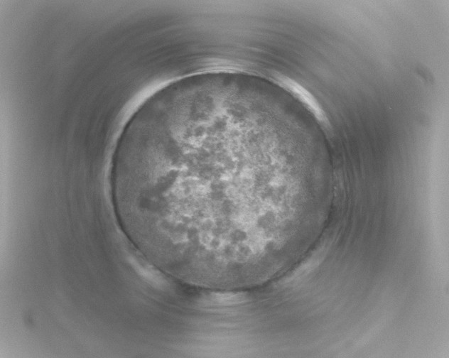 X0000115691427200911251804