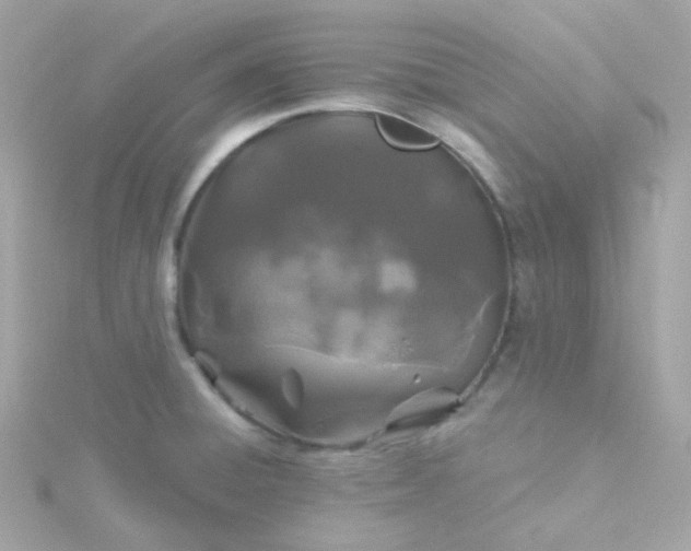 X0000115691428200911251804