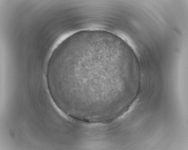 X0000115691429200911251804