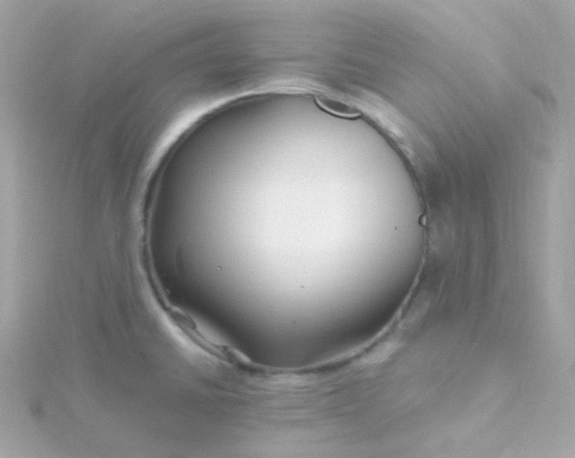 X0000115691430200911251804