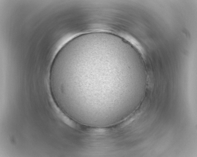 X0000115691431200911251804